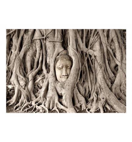 Fototapete - Buddha's Tree