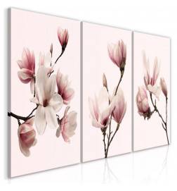 Quadro - Spring Magnolias (3 Parts)