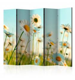 5-teiliges Paravent - Daisies - spring meadow II [Room Dividers]