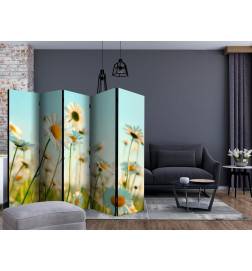 Room Divider - Daisies - spring meadow II [Room Dividers]