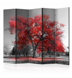 5-teiliges Paravent - Autumn in the Park II [Room Dividers]