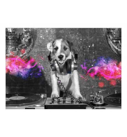 Wallpaper - DJ Dog