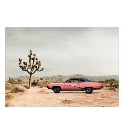 Wallpaper - Desert California