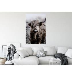 Canvas Print - Highland Cow in Sepia