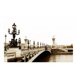 96,00 € www.arredalacasa.com Fotomurale sul ponte di Alessandro III a Parigi cm. 450x270