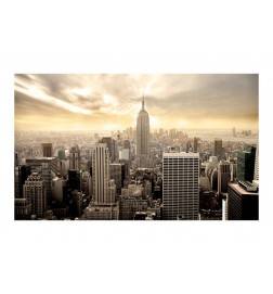 96,00 € www.arredalacasa.com Fotomurale Empire State Building beige - cm. 450x270