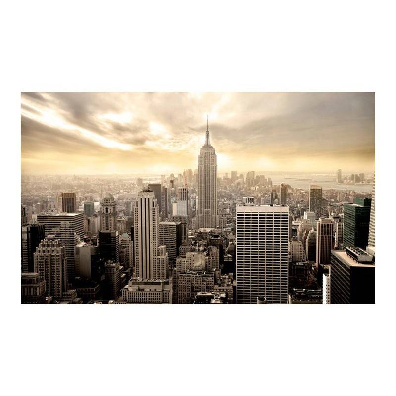 96,00 €Fotomurale Empire State Building beige - cm. 450x270