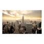 Kuva Empire State Building Beige450x270