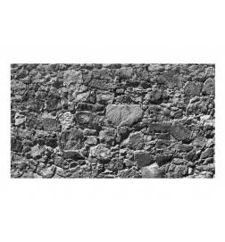 Fotomurale adesivo pietre grigie cm. 490x280 ARREDALACASA