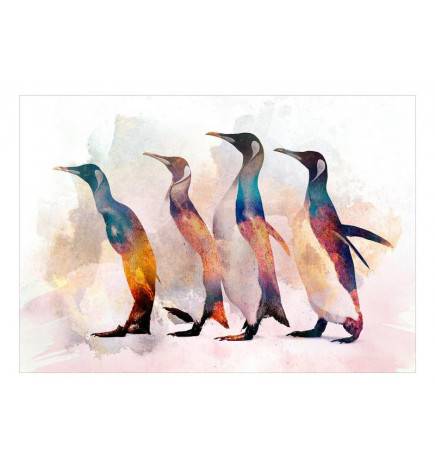 Fototapete - Penguin Wandering
