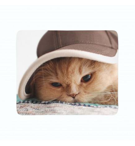 2 coperte in pile - con il famoso gatto col cappello