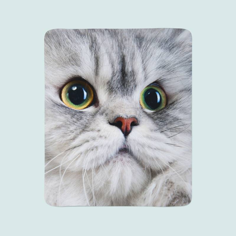 74,00 € 2 odeji iz flisa - z zelo sladko mačko