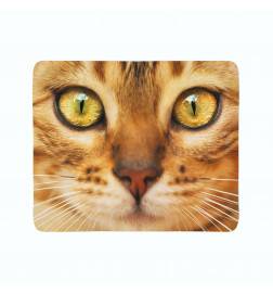 74,00 € 2 fleece blankets - with a red cat