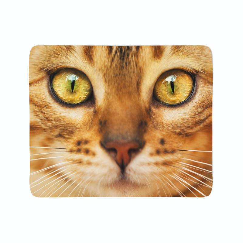 74,00 € 2 fleecedekens - met een rode kat 74,00 € 2 fleecedekens - met een rode kat