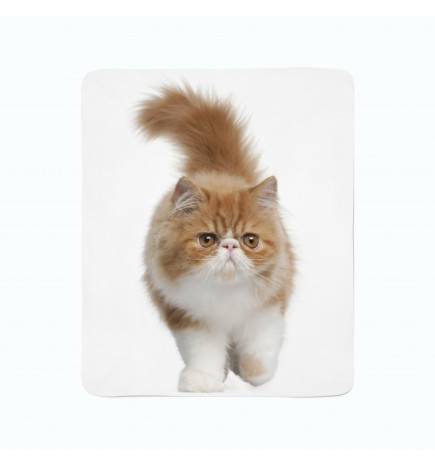 74,00 € 2 fleece blankets - with a fat cat