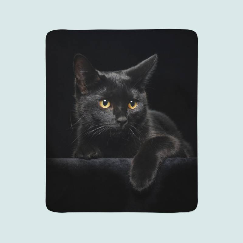 74,00 €2 cobertores de lã - com um gato preto