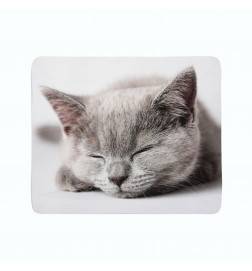 couvertures en flanelle - avec un chat paresseux