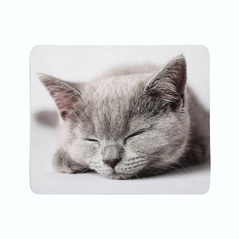 74,00 € pături de flanel – cu o pisică leneșă