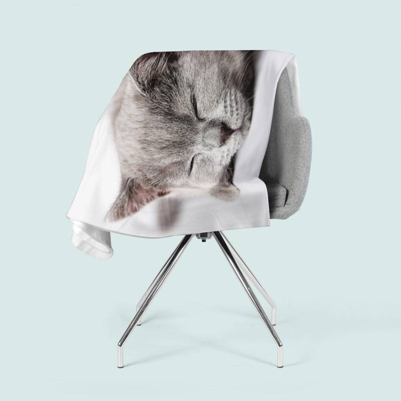 74,00 € flannel blankets - with a lazy cat