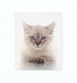 74,00 € flanelldecken - mit einem kleinen Kätzchen