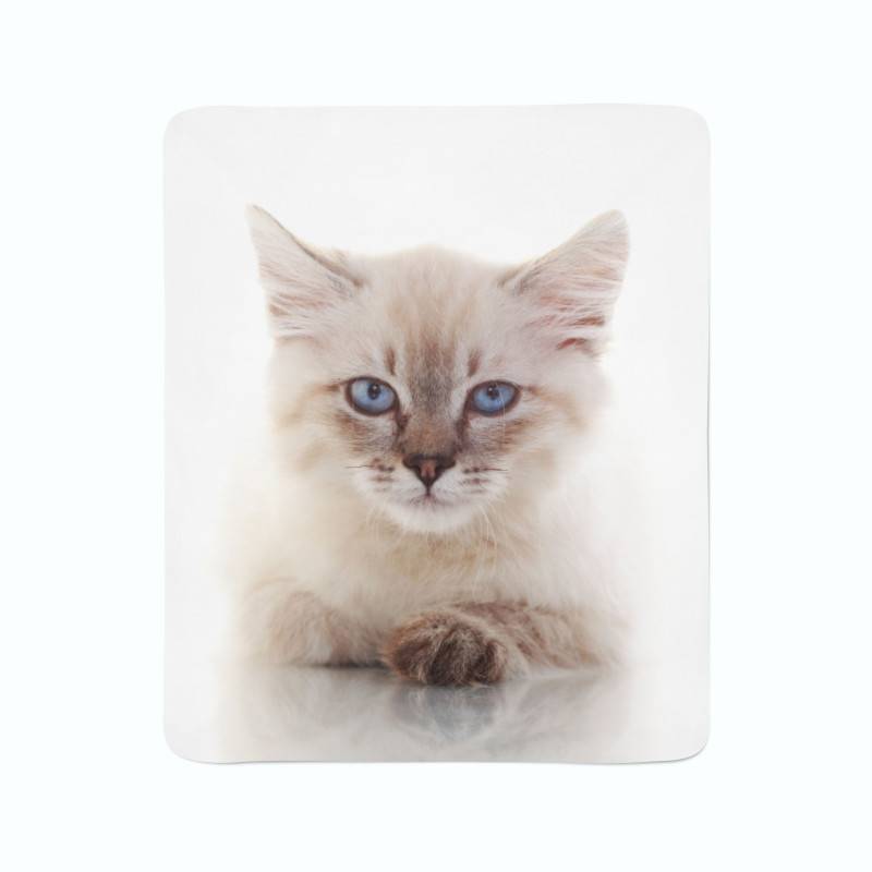 74,00 € flannel blankets - with a small kitten