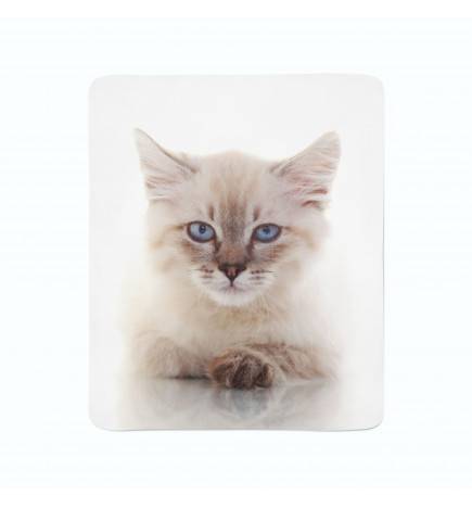 flanelinės antklodės – su mažu kačiuku