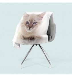 mantas de franela - con un pequeño gatito