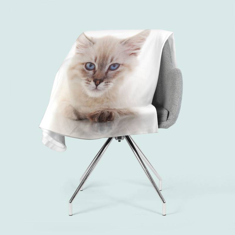 74,00 €cobertores de flanela - com um gatinho pequeno