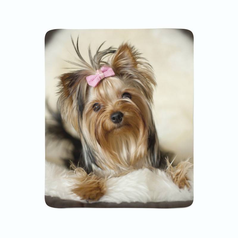 74,00 € 2 fleece blankets - with a little dog 74,00 € 2 fleece blankets - with a little dog