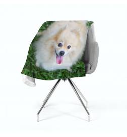 2 fleece blankets - with a white dog