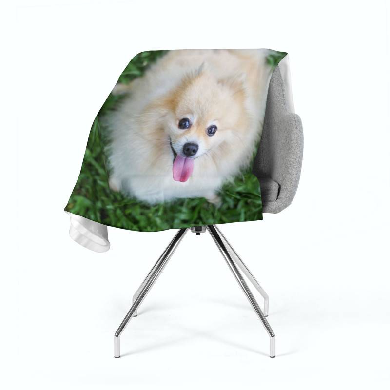 74,00 € 2 fleece blankets - with a white dog