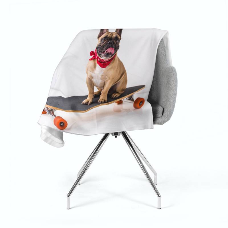 74,00 € 2 fleece blankets - with a sports dog