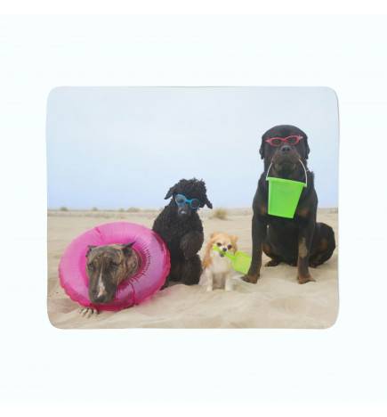 74,00 € 2 mantas polares - con perros junto al mar