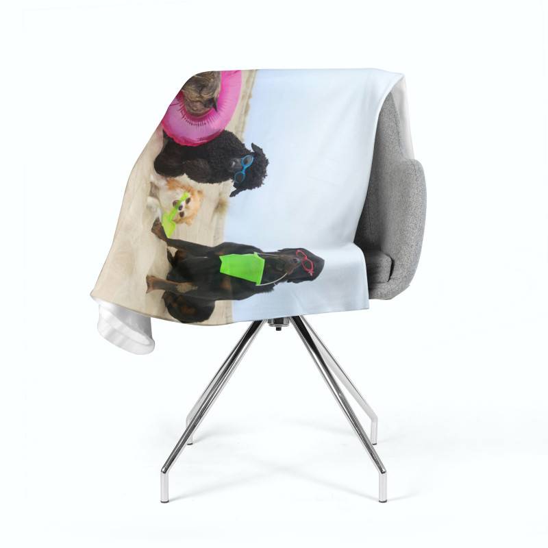 74,00 € 2 mantas polares - con perros junto al mar