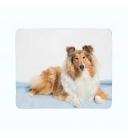 2 fleece blankets - with a collie