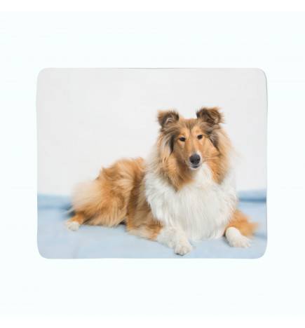 74,00 € 2 fleece blankets - with a collie