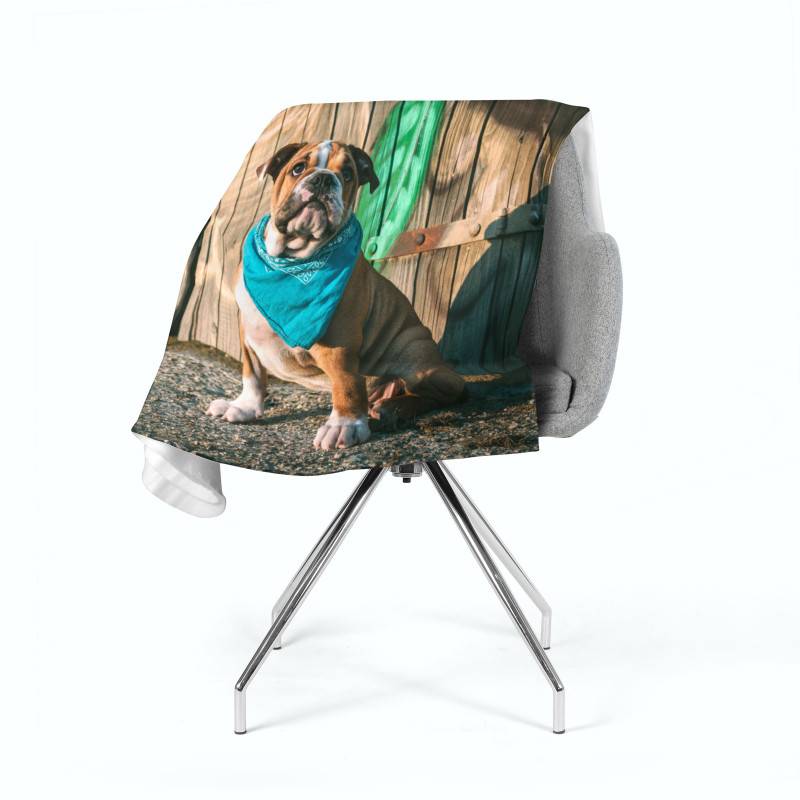 74,00 € 2 fleecedekens - met een bulldog