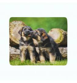 2 fleece blankets - with 2 German Shepherds