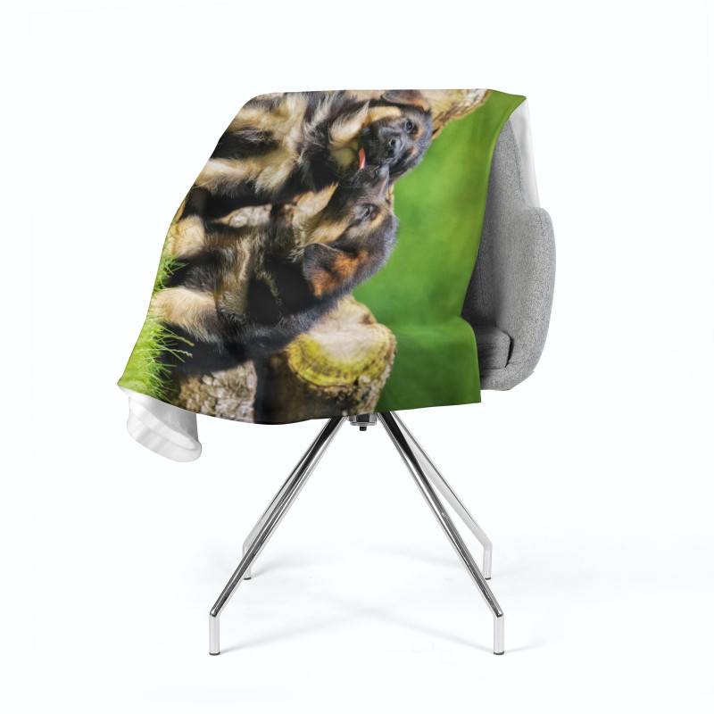 74,00 €2 couvertures polaires - avec 2 bergers allemands 74,00 €2 couvertures polaires - avec 2 bergers allemands