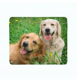 2 fleece blankets - featuring 2 labradors