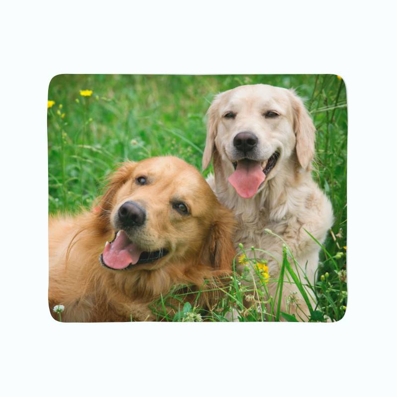 74,00 €2 coperte in pile - con 2 labrador