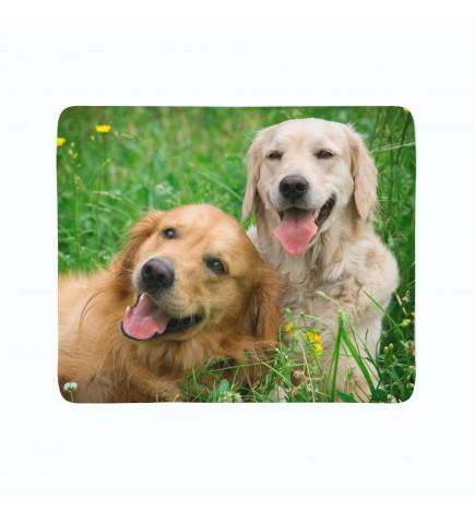 2 Fleecedecken – mit 2 Labradoren