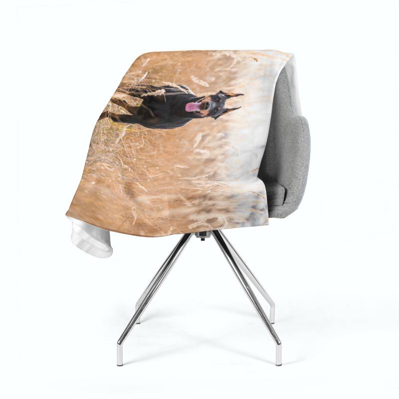 74,00 € 2 flīsa segas - ar pinčeru