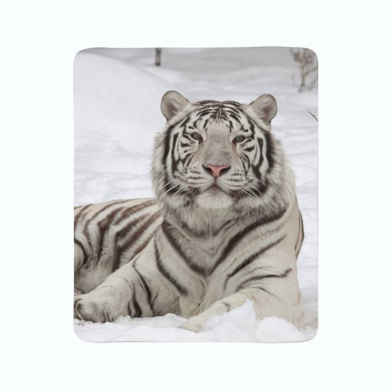 74,00 € 2 fleece blankets - with a Siberian tiger