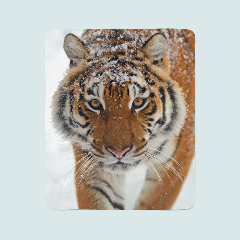 74,00 €2 couvertures polaires - avec un tigre du bengale