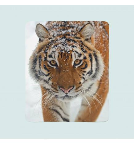 2 fleece blankets - with a bengal tiger