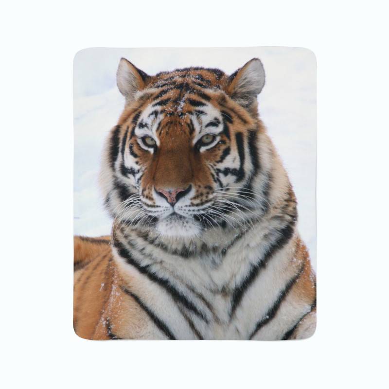 74,00 €2 couvertures polaires - avec un tigre