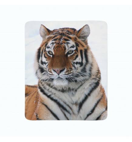 2 vilnos antklodės - su tigru