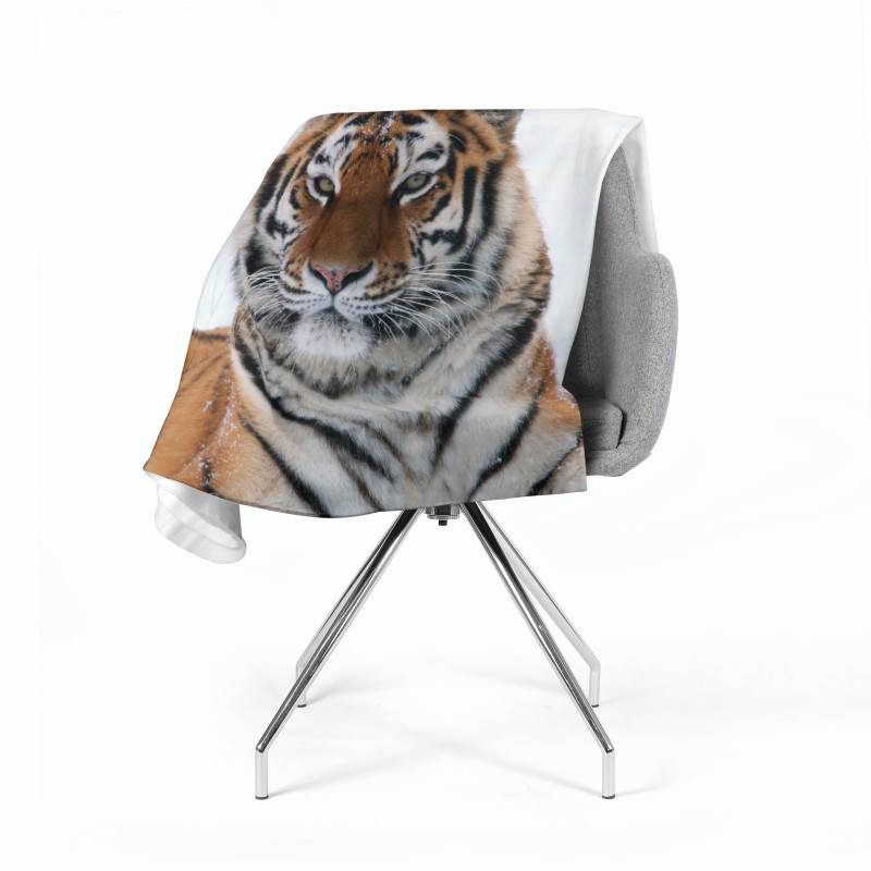 74,00 € 2 fleece blankets - with a tiger