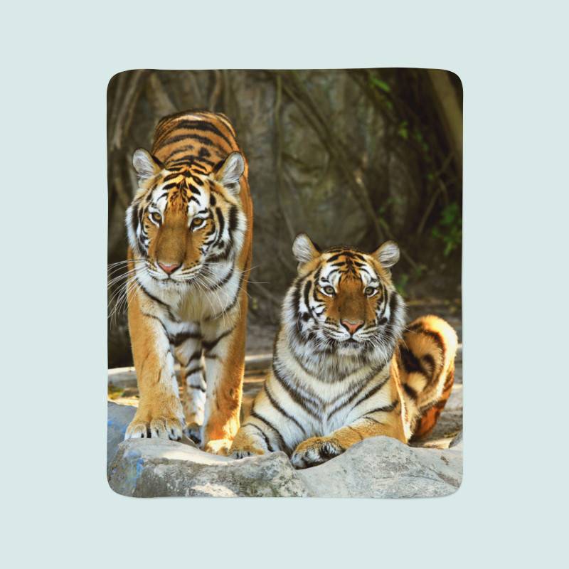 74,00 € 2 fleece blankets - with two tigers